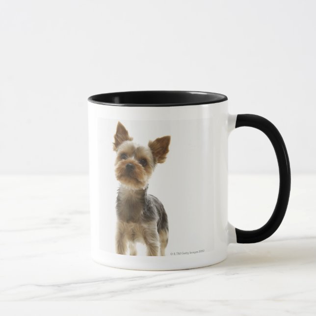 Taza Yorkshire Terrier (Derecha)