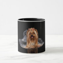 Yorkshire Terrier en negro