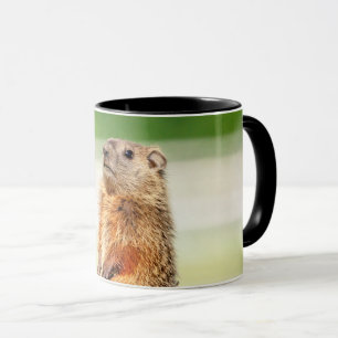 Taza Young Groundhog