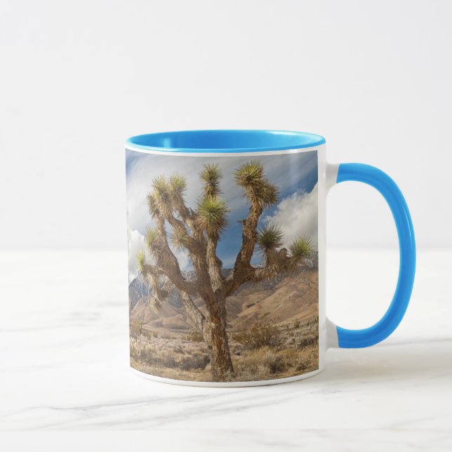 Taza Yucas en desierto (Derecha)