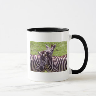 Taza Zebra mug