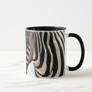 Taza Zebra Mugs