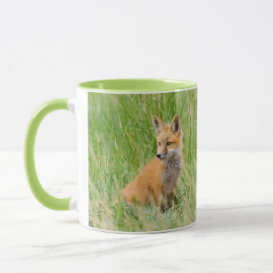 Taza Zorrito rojo en hierba cerca de la guarida