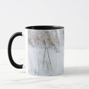 Taza Zorro Ártico