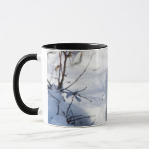 Taza Zorro ártico, área de manejo de vida silvestre de