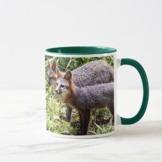 TAZA ZORRO MÁGICO