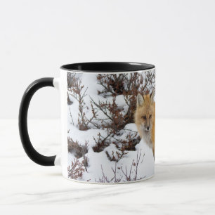 Taza Zorro Rojo en nieve en invierno