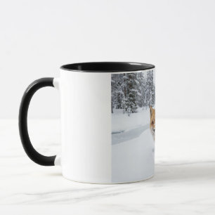 Taza Zorro Rojo Invernal - Cerámica de Vida Silves