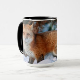 Taza Zorro Rojo   Nieve en Invierno, Montana
