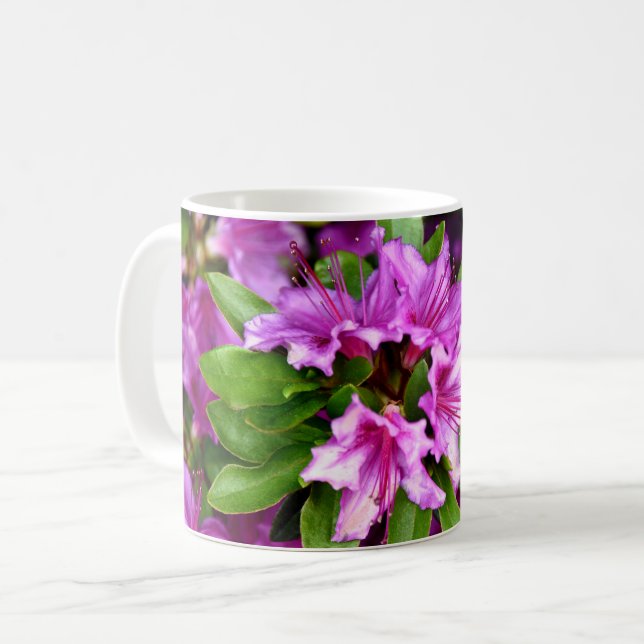 Tazas de Azelia (Anverso izquierdo)