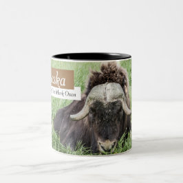 Tazas de café de Alaska - bueyes de almizcle