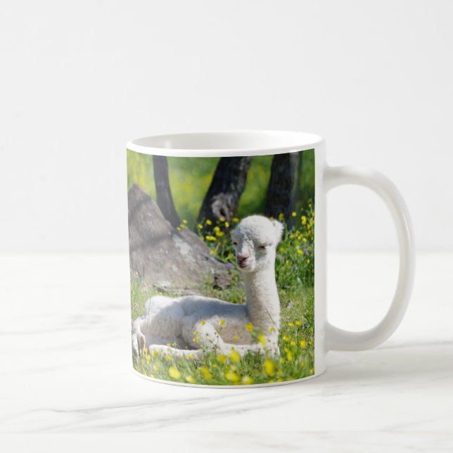 Tazas de la alpaca (Derecha)