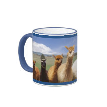 Tazas de la alpaca para él