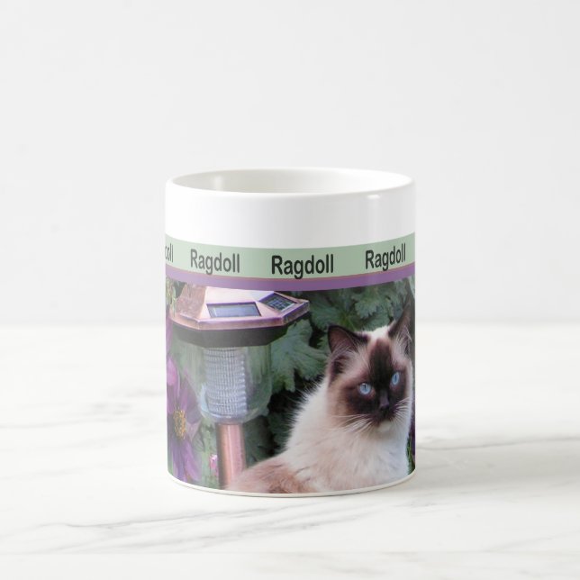 Tazas de Ragdoll (Centro)