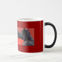 Tazas del beso del caballo