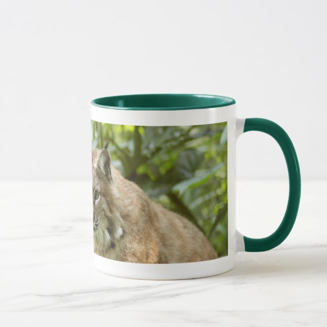 Tazas del lince (Derecha)