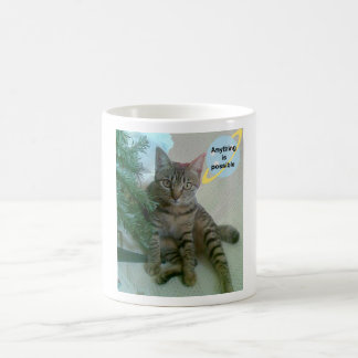 Tazas divertidas personalizadas del gato