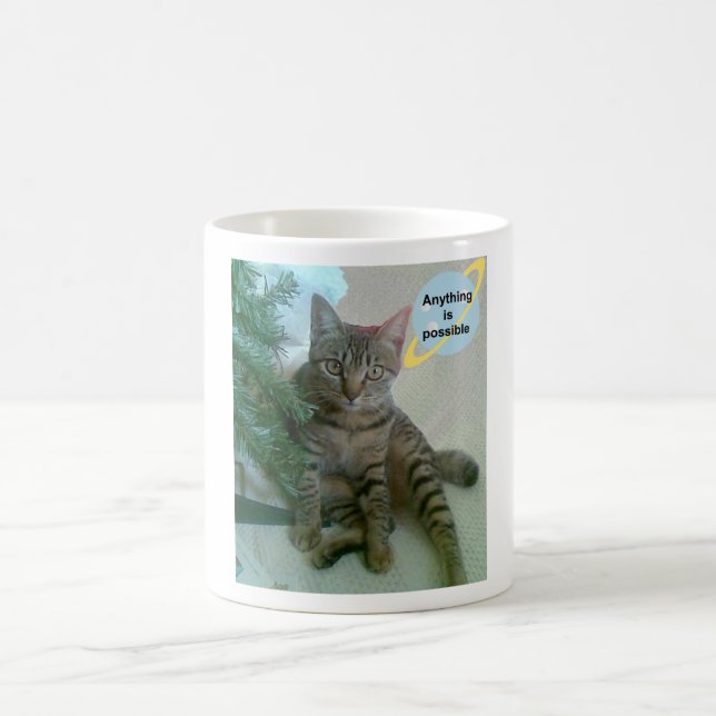 Tazas divertidas personalizadas del gato (Centro)