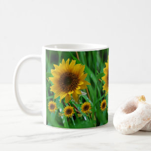 tazas girasoles