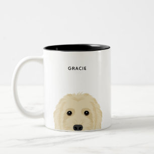 Tazas Goldendoodle