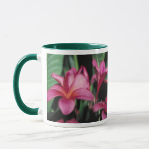 Tazas hawaianas de la orquídea y del Plumeria