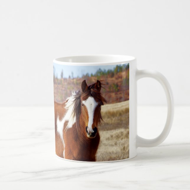 Tazas hermosas del caballo de la pintura (Derecha)