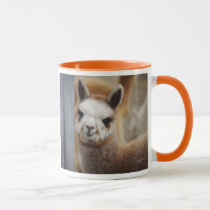 Tazas lindas de la alpaca