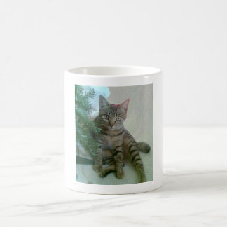 Tazas lindas personalizadas del gato