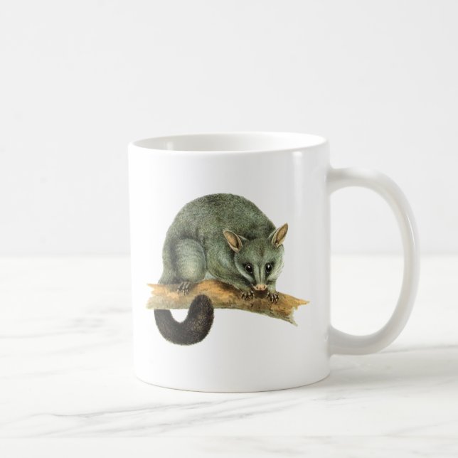 Tazas - oposum cooroy (Derecha)