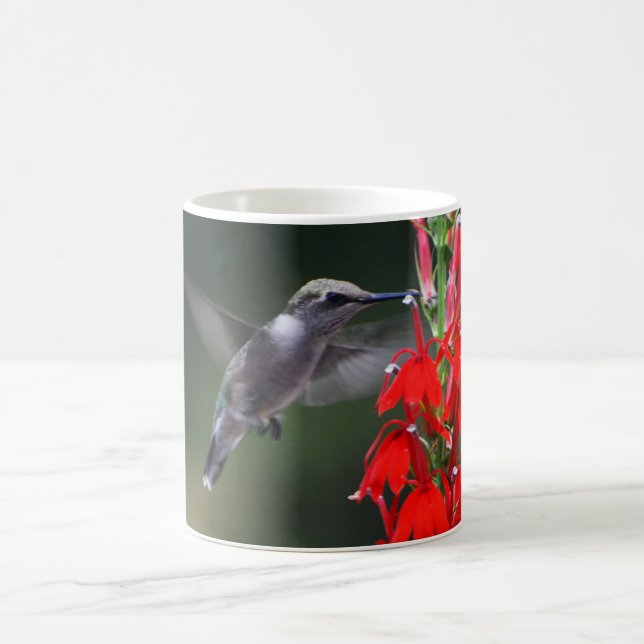 Tazas temáticas del pájaro del tarareo (Centro)