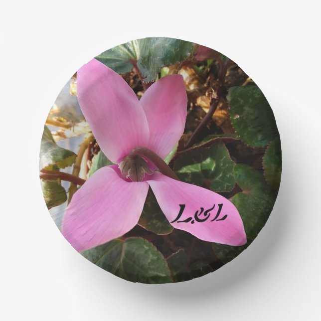 tazón de platos de papel de 7" (Anverso)