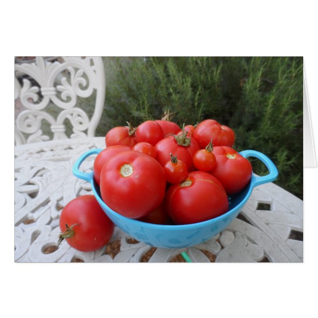 Tazón de tomates (Anverso (Horizontal))