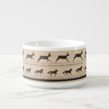 Ilustracion de animación zootropénica