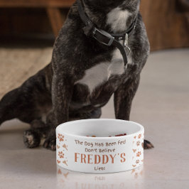 Tazón personalizado para mascotas, regalo de plato