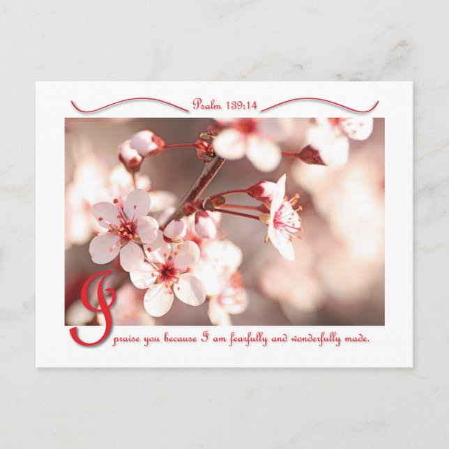 Te alabo la postal (Anverso)