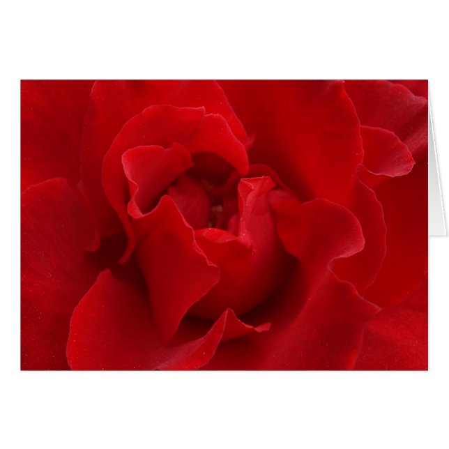 Te amaré siempre (Anverso (Horizontal))