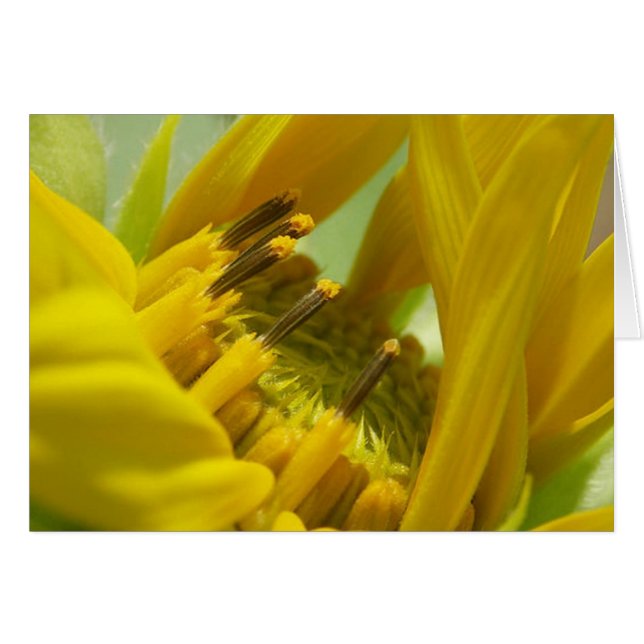 Te amo (Anverso (Horizontal))