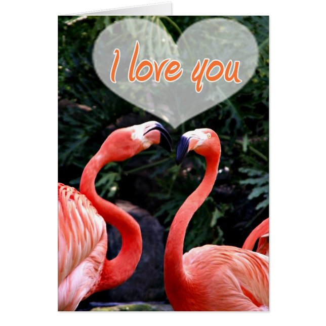 Te Amo_ (Frente)