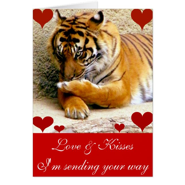 Te amo a ti (Frente)