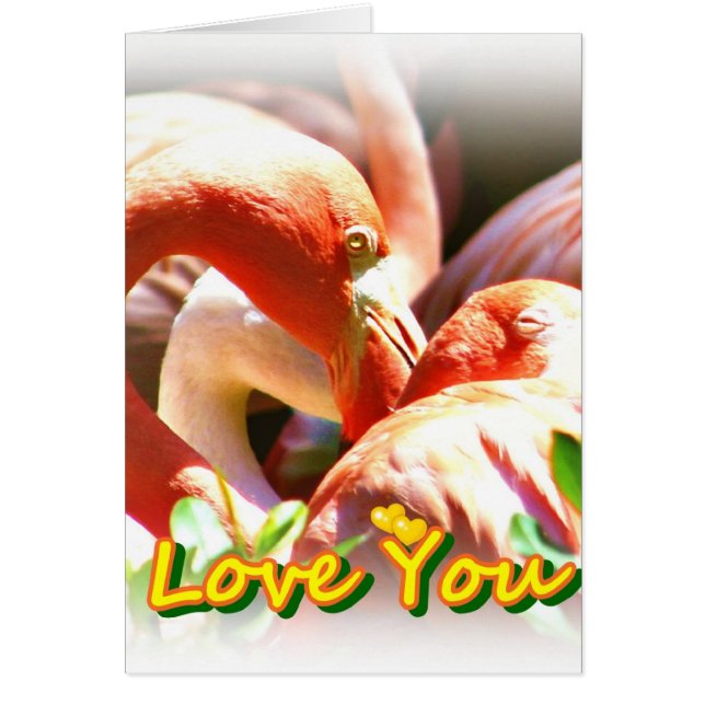 Te amo a ti (Frente)