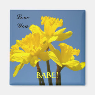 Te Amo BABE! imán Amarillas Daffodils Primavera