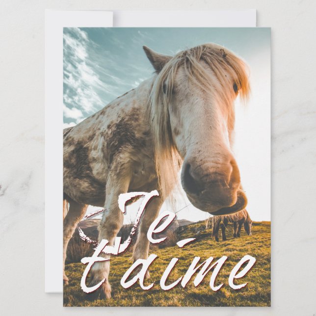 Te amo con caballo mirado (Anverso)