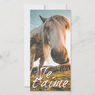 Te amo con caballo mirado