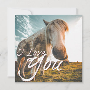 Te amo con caballo mirando