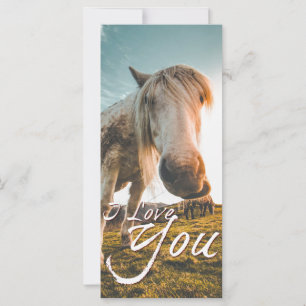 Te amo con caballo mirando