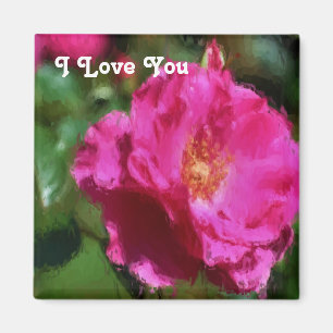 Te Amo El Imán Rosa Rosa Rosa