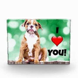 Te Amo, Foto De Cachorro, Bloque De Foto Acrílico