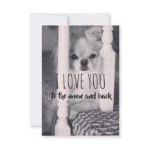 te amo hasta la luna y de vuelta