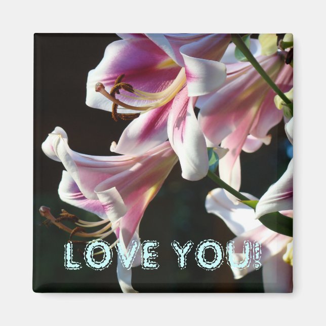¡TE AMO! imán Lilas Rosadas Flores de Verano (Frente)