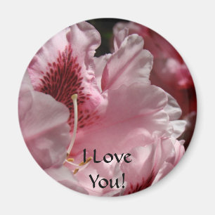 ¡Te Amo! Imanes de Rhododendro Rosa Rhodies